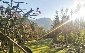 Вила АРБОРЕТУМ - онлайн self check-in